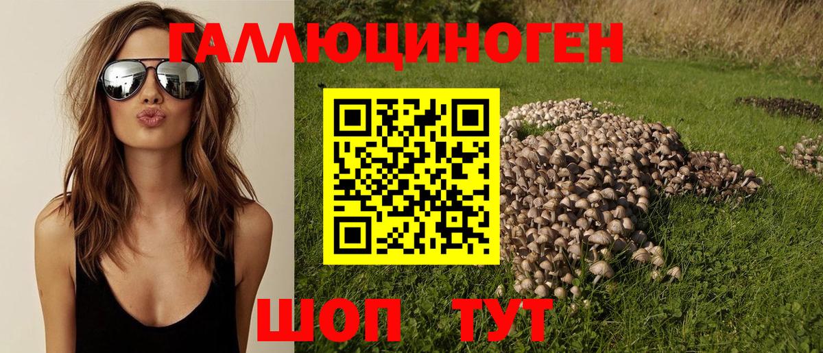 Псилоцибиновые грибы Psilocybine cubensis Советск