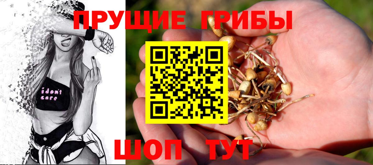Галлюциногенные грибы Magic Shrooms  Вход с VPN  Советск 